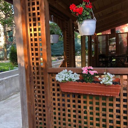 Отель Casa Анина Экстерьер фото
