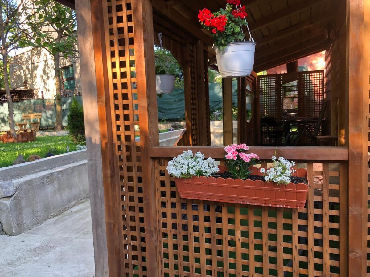 Отель Casa Анина Экстерьер фото